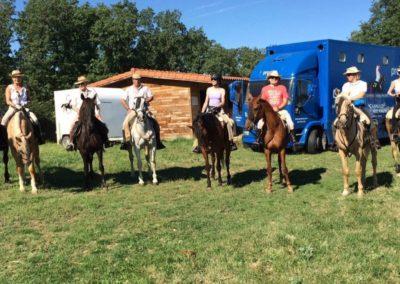 Boxes de caballos